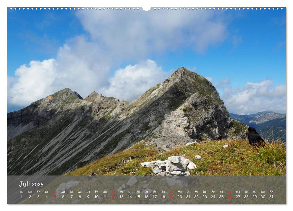 Ammergauer Alpen (CALVENDO Premium Wandkalender 2026)