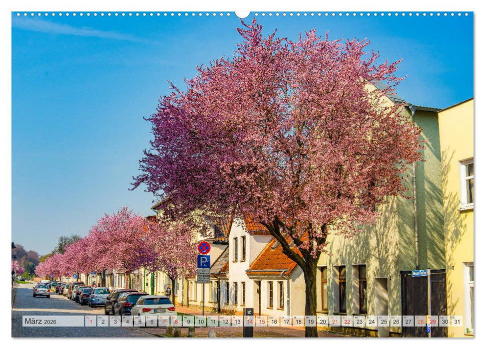 Bad Doberan Impressionen (CALVENDO Wandkalender 2026)