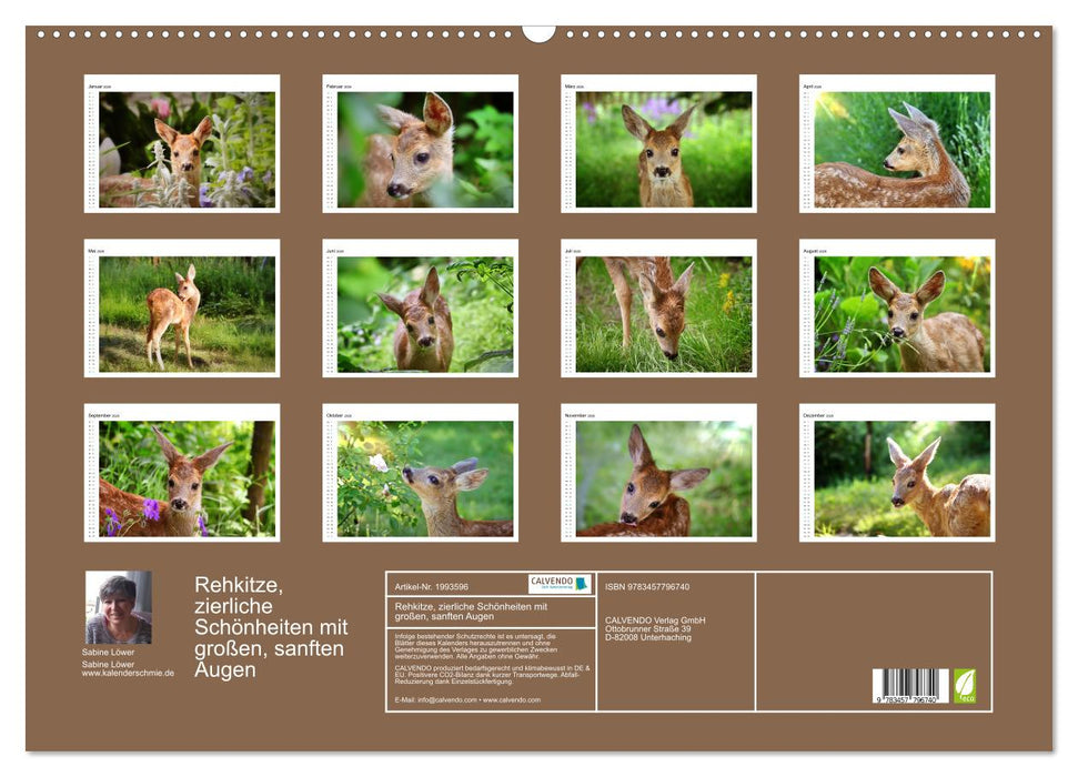 Rehkitze, zierliche Schönheiten mit großen, sanften Augen (CALVENDO Wandkalender 2026)