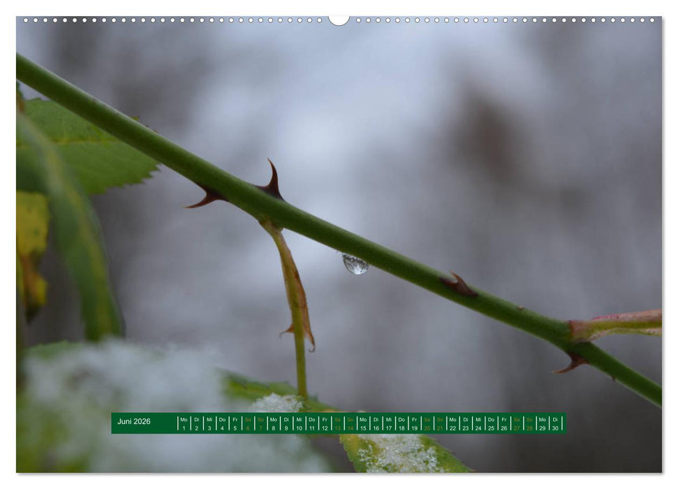 Unterwegs im Deister (CALVENDO Wandkalender 2026)