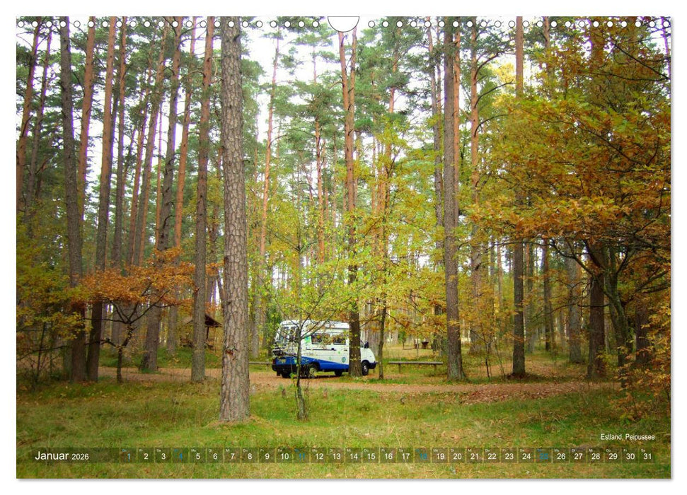 Vanlife - Leben, fahren, frei sein mit dem Wohnmobil (CALVENDO Wandkalender 2026)