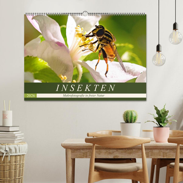 INSEKTEN - Makrofotografie in freier Natur (CALVENDO Wandkalender 2026)