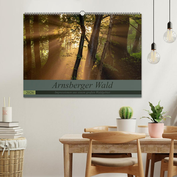 Arnsberger Wald (CALVENDO Wandkalender 2026)