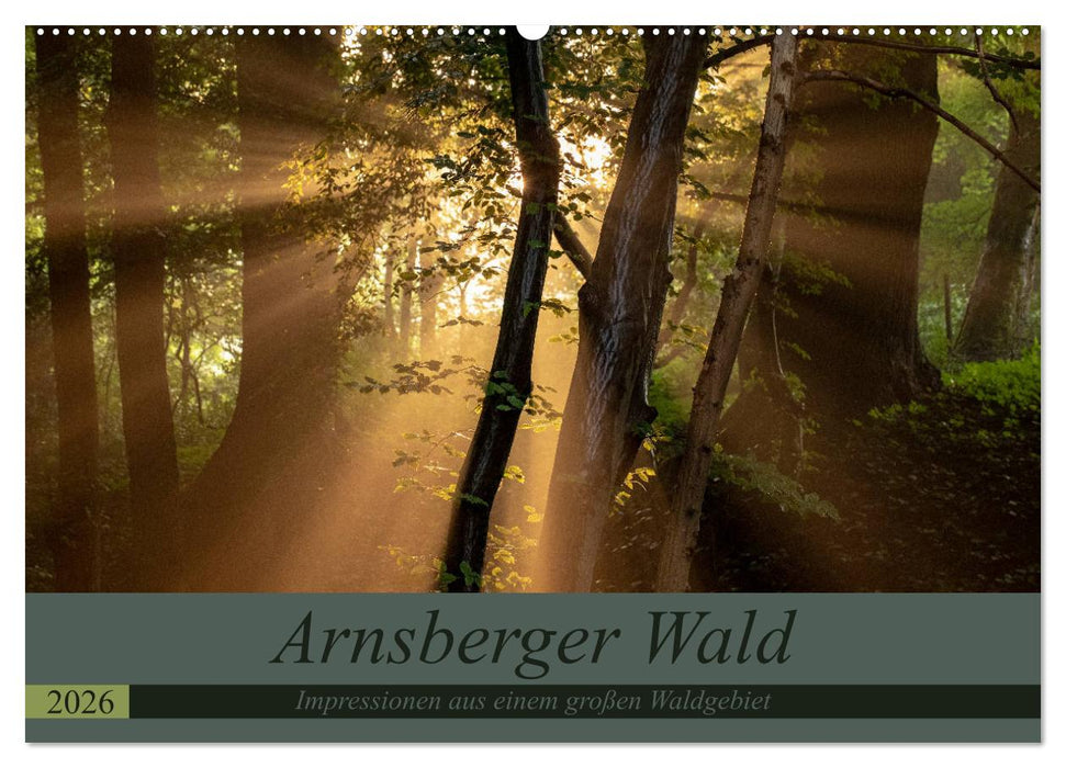 Arnsberger Wald (CALVENDO Wandkalender 2026)