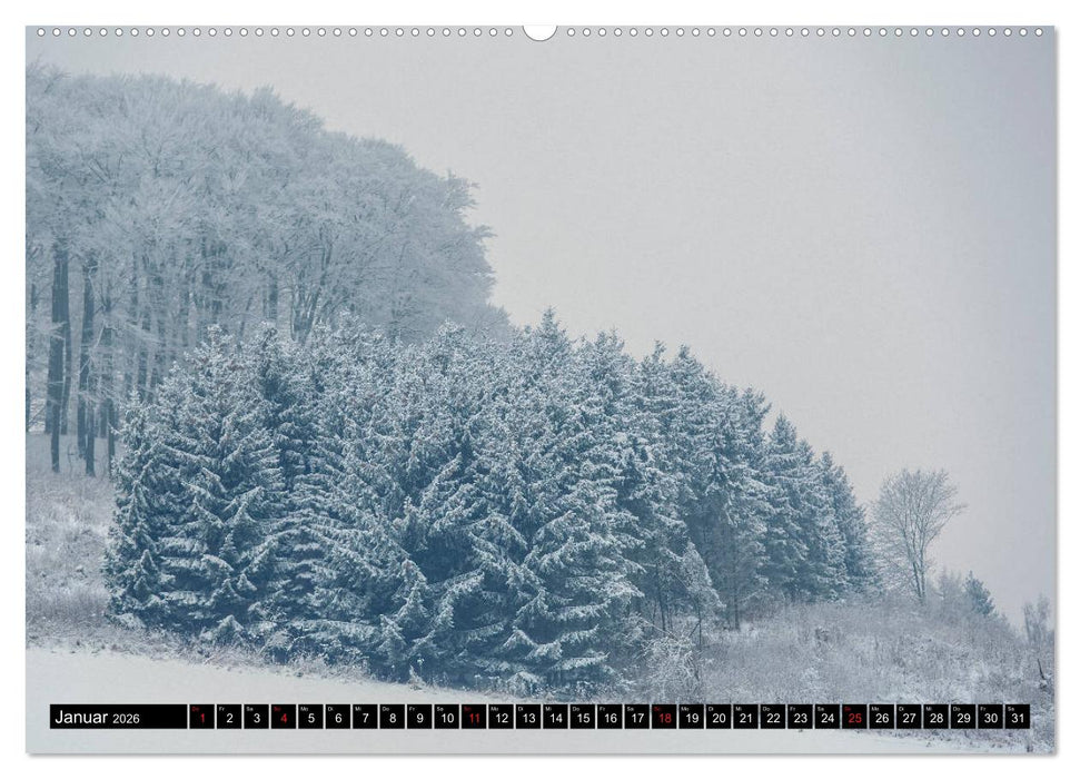 Arnsberger Wald (CALVENDO Wandkalender 2026)