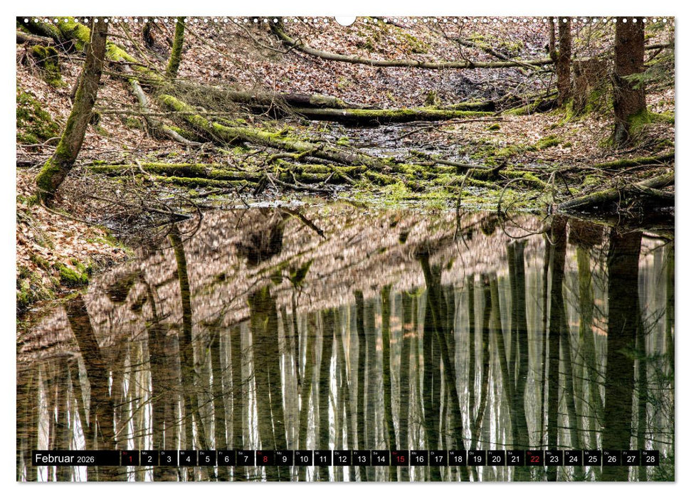Arnsberger Wald (CALVENDO Wandkalender 2026)