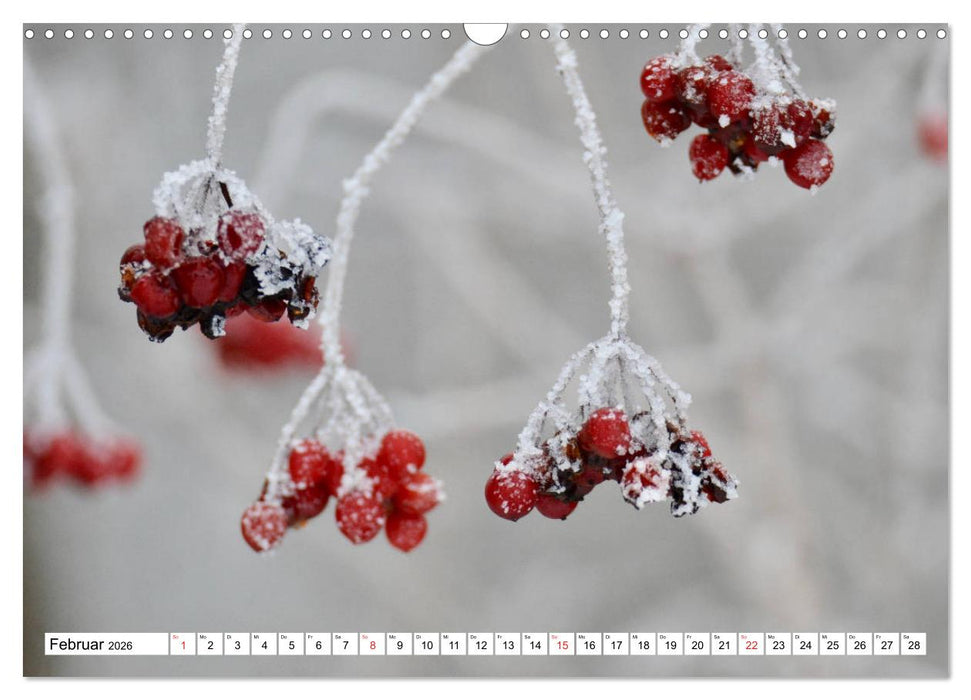 Zauberhaftes Mangfalltal (CALVENDO Wandkalender 2026)