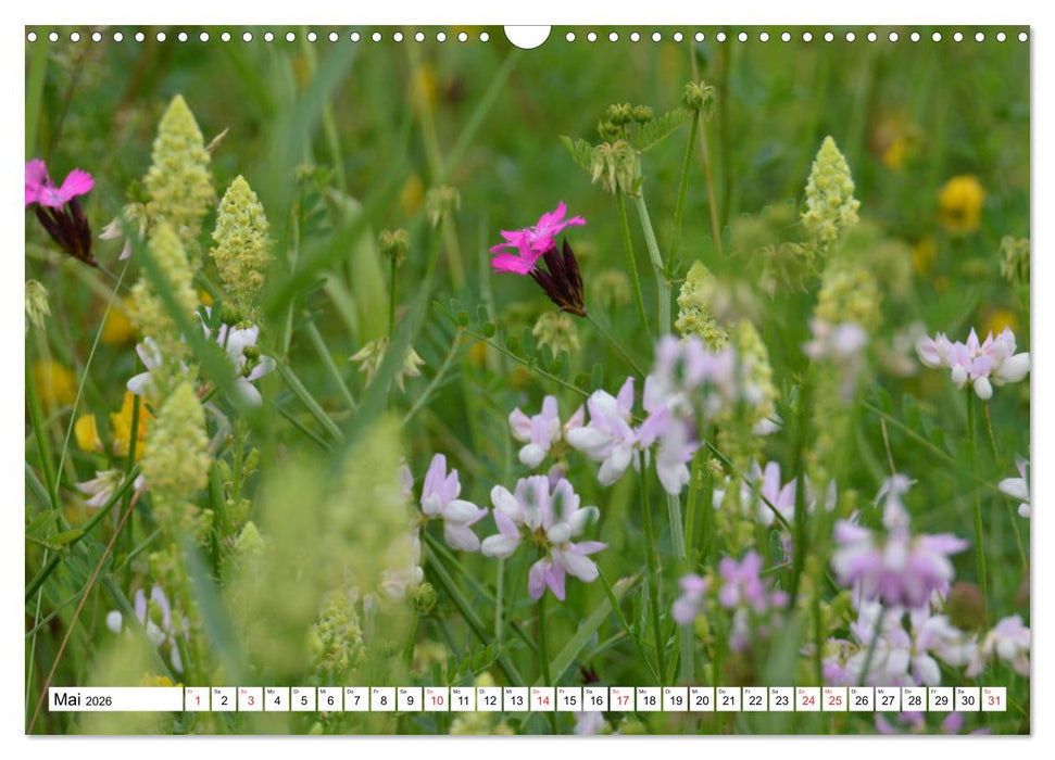 Zauberhaftes Mangfalltal (CALVENDO Wandkalender 2026)