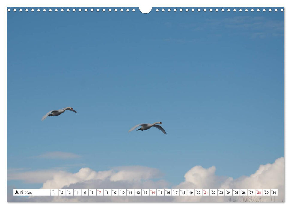 Zauberhaftes Mangfalltal (CALVENDO Wandkalender 2026)