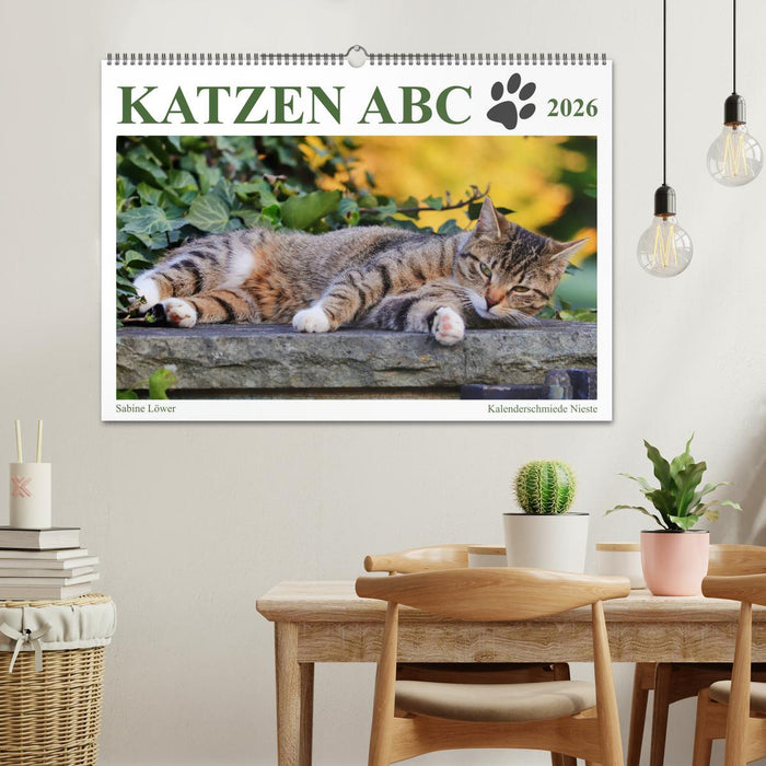Katzen ABC (CALVENDO Wandkalender 2026)