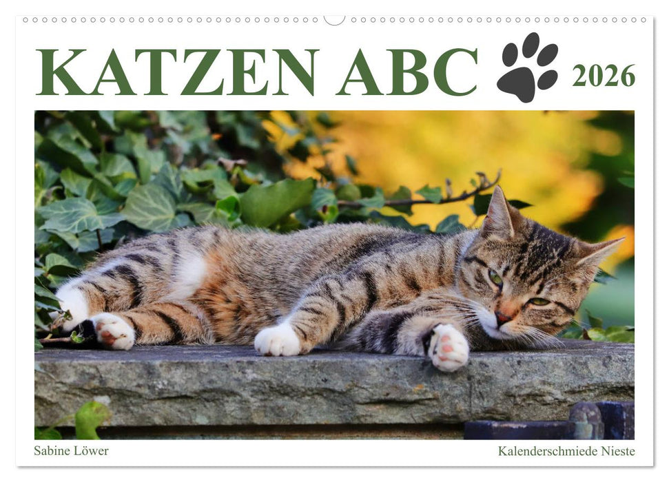 Katzen ABC (CALVENDO Wandkalender 2026)