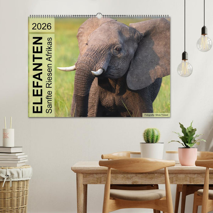 Elefanten - Sanfte Riesen Afrikas (CALVENDO Wandkalender 2026)