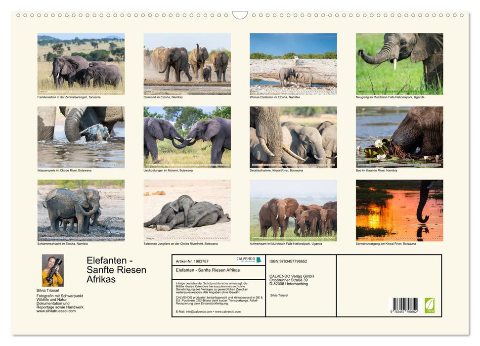 Elefanten - Sanfte Riesen Afrikas (CALVENDO Wandkalender 2026)