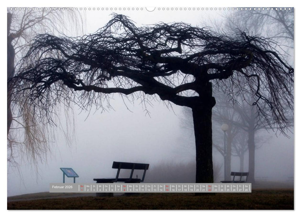 2026 Langenargen am Bodensee (CALVENDO Wandkalender 2026)