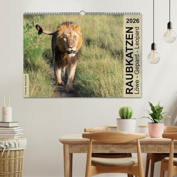 Raubkatzen - Löwe, Gepard, Leopard (CALVENDO Wandkalender 2026)