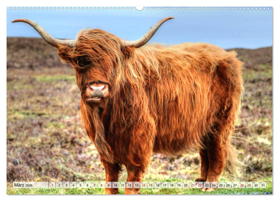 Schottland - Land aus Nebel und Licht (CALVENDO Wandkalender 2026)