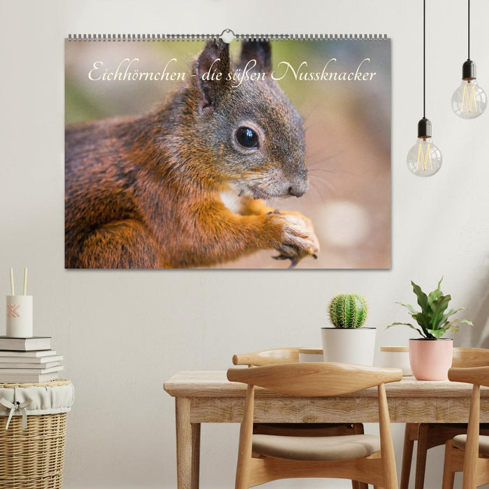 Eichhörnchen - die süßen Nussknacker (CALVENDO Wandkalender 2026)