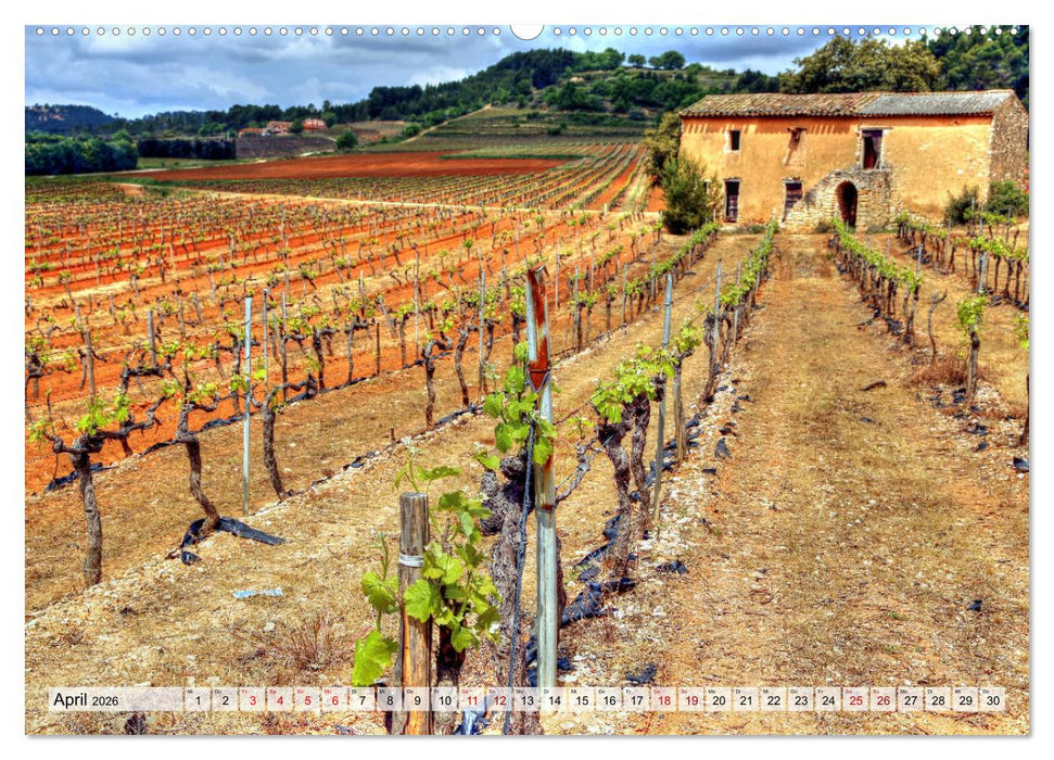 Provence - Magie des Lichtes (CALVENDO Wandkalender 2026)