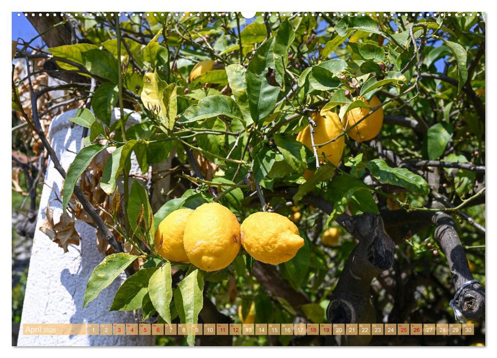 Sehnsuchtsort Amalfiküste (CALVENDO Premium Wandkalender 2026)