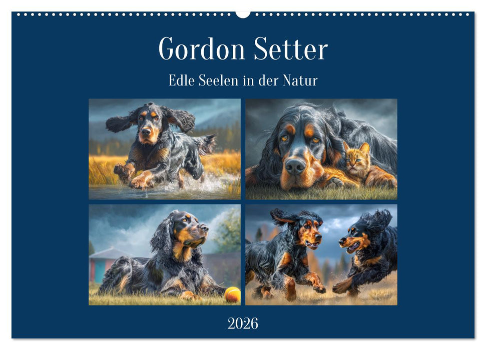 Gordon Setter. Edle Seelen in der Natur (CALVENDO Wandkalender 2026)
