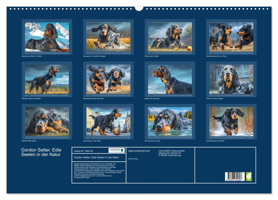Gordon Setter. Edle Seelen in der Natur (CALVENDO Wandkalender 2026)