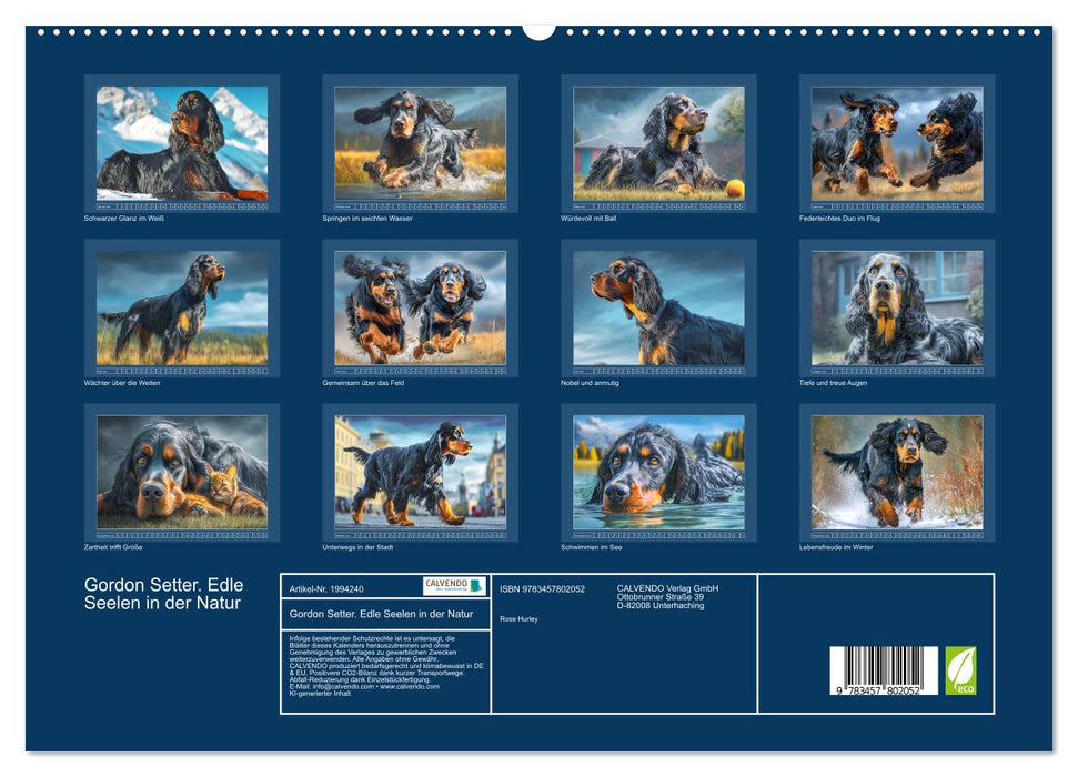Gordon Setter. Edle Seelen in der Natur (CALVENDO Premium Wandkalender 2026)