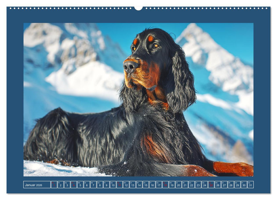 Gordon Setter. Edle Seelen in der Natur (CALVENDO Premium Wandkalender 2026)