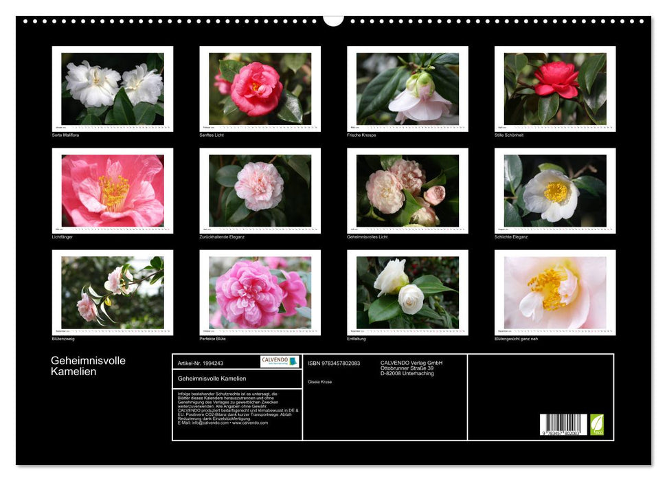 Geheimnisvolle Kamelien (CALVENDO Wandkalender 2026)
