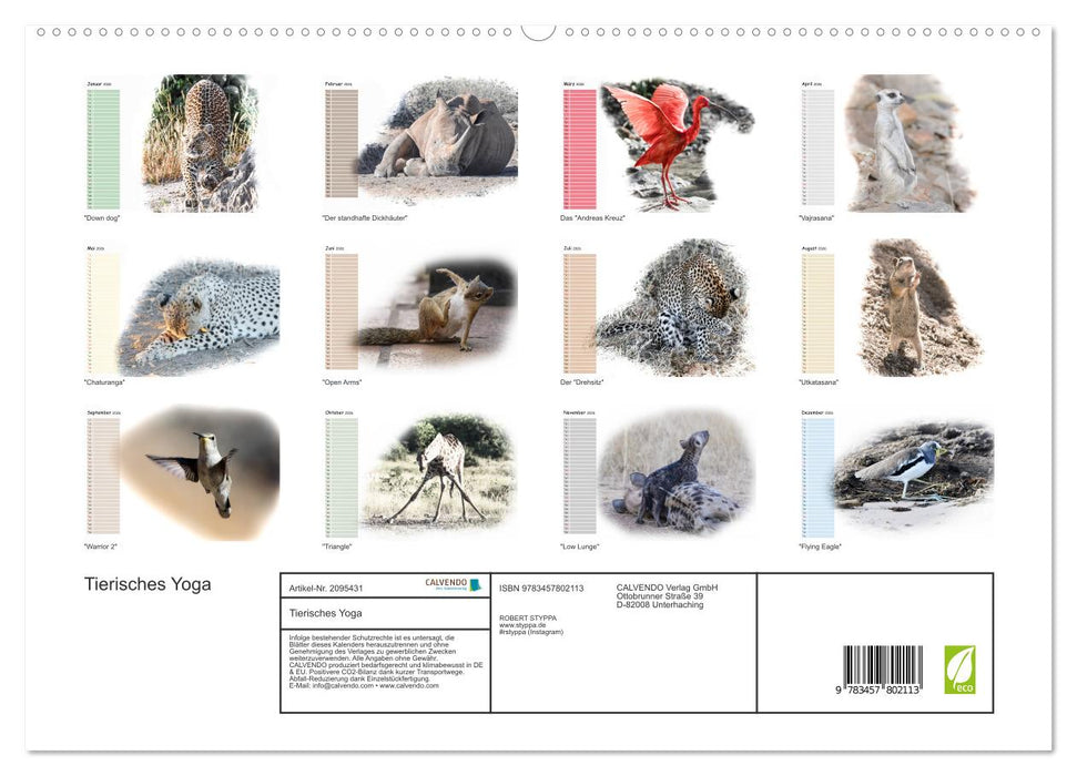 Tierisches Yoga (CALVENDO Premium Wandkalender 2026)