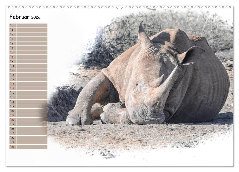 Tierisches Yoga (CALVENDO Premium Wandkalender 2026)