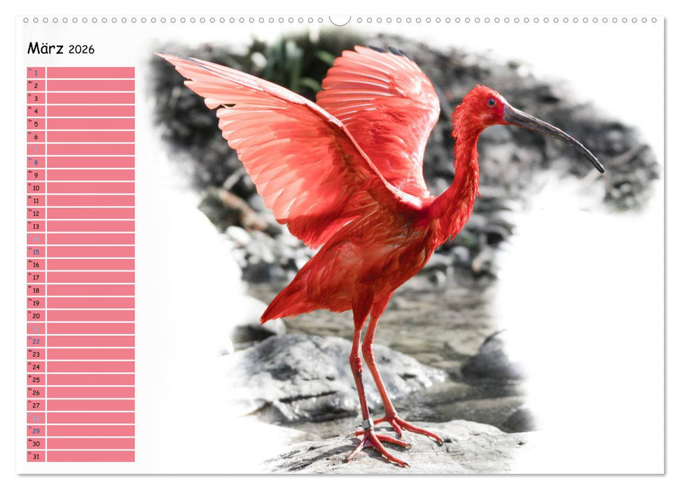 Tierisches Yoga (CALVENDO Premium Wandkalender 2026)