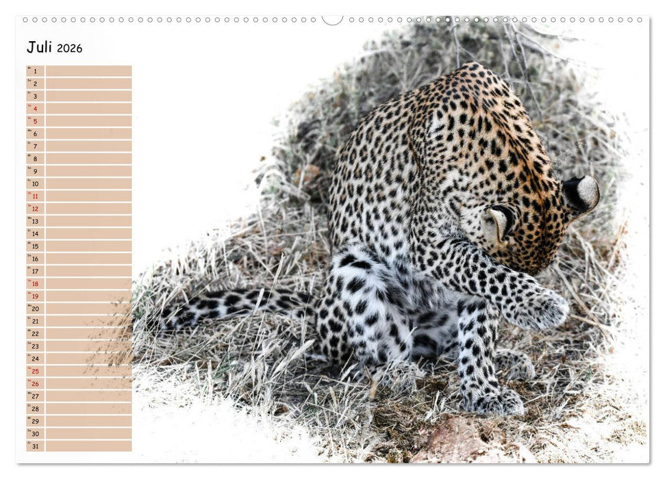 Tierisches Yoga (CALVENDO Premium Wandkalender 2026)