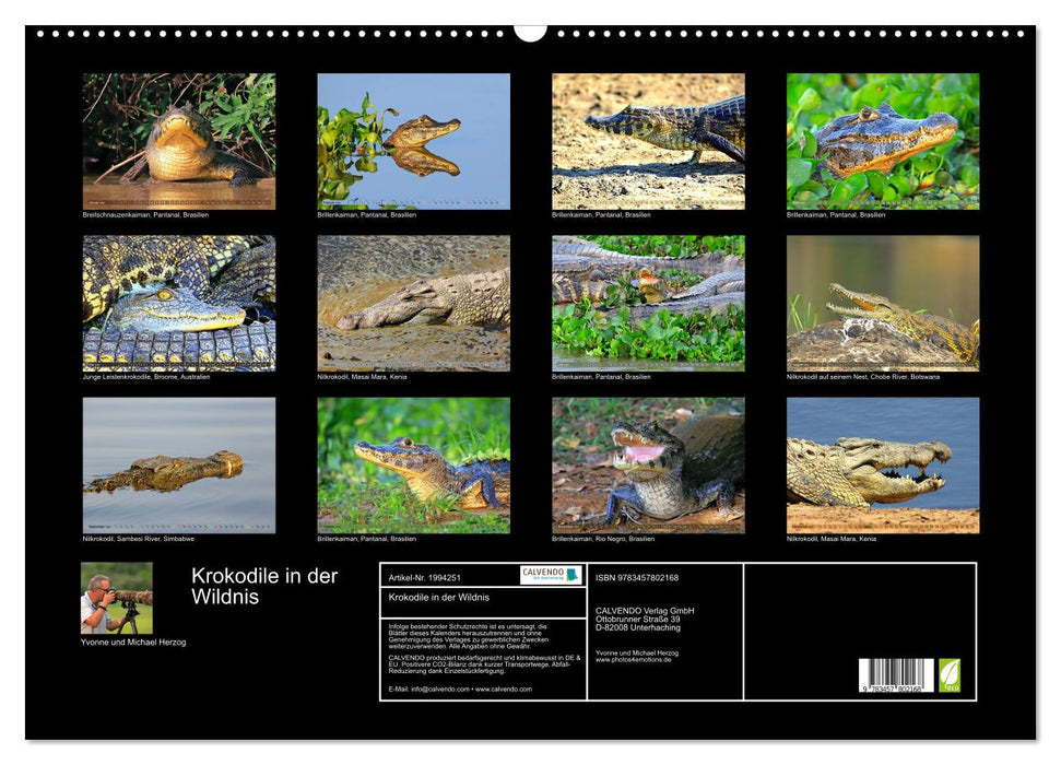 Krokodile in der Wildnis (CALVENDO Wandkalender 2026)
