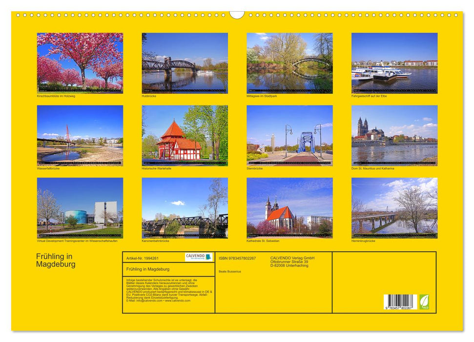 Frühling in Magdeburg (CALVENDO Wandkalender 2026)