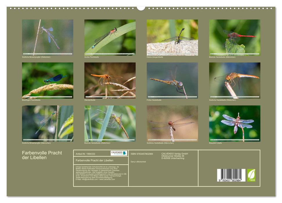 Farbenvolle Pracht der Libellen (CALVENDO Wandkalender 2026)