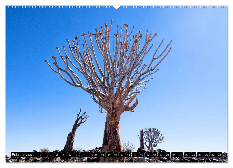 Südliches Afrika - Vom Kap bis zu den Victoria Fällen (CALVENDO Wandkalender 2026)