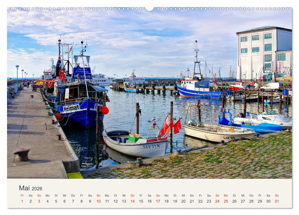 Sassnitz und die Kreideküste - Herbstimpressionen vom Hochuferweg Jasmund (CALVENDO Wandkalender 2026)