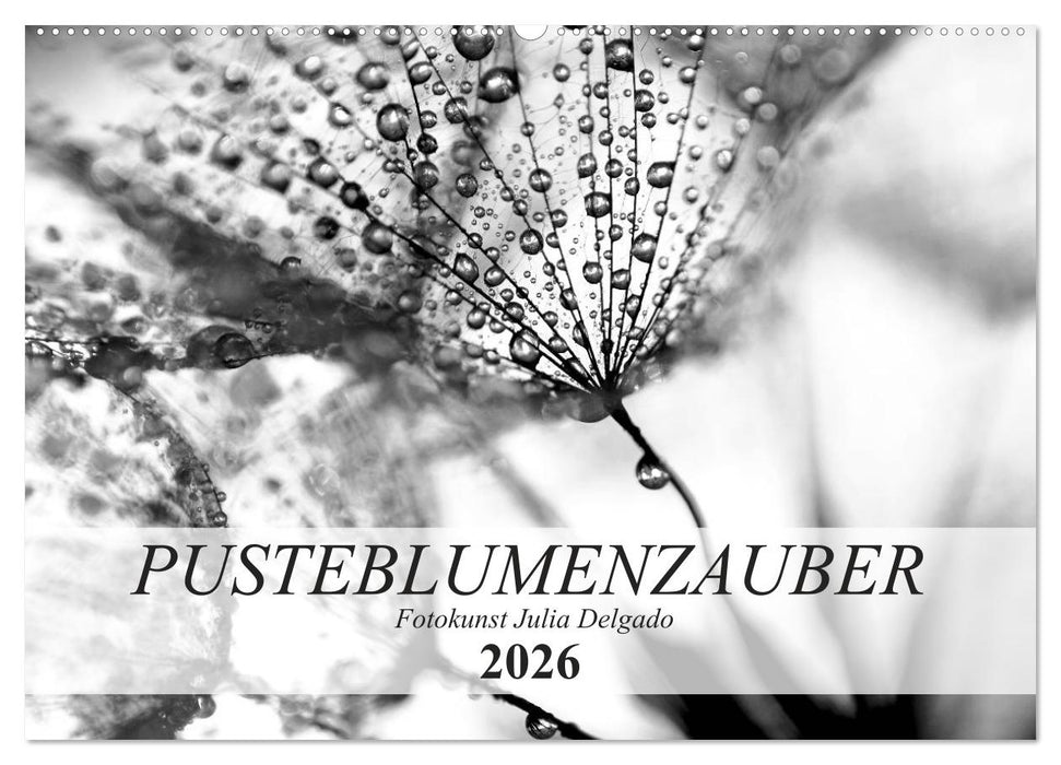 Pusteblumenzauber in schwarzweiß (CALVENDO Wandkalender 2026)