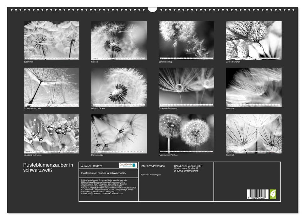 Pusteblumenzauber in schwarzweiß (CALVENDO Wandkalender 2026)