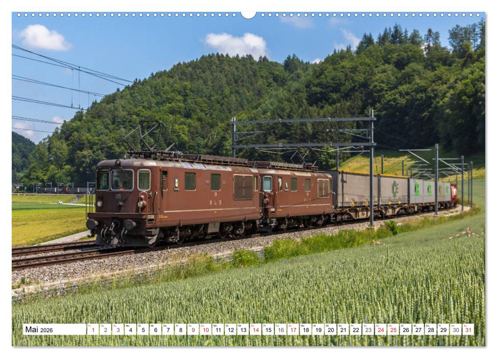 Für Güter die Bahn (CALVENDO Wandkalender 2026)
