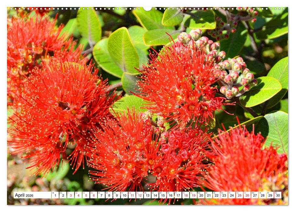 Neuseeland Nordinsel - faszinierende Orte am anderen Ende der Welt (CALVENDO Wandkalender 2026)