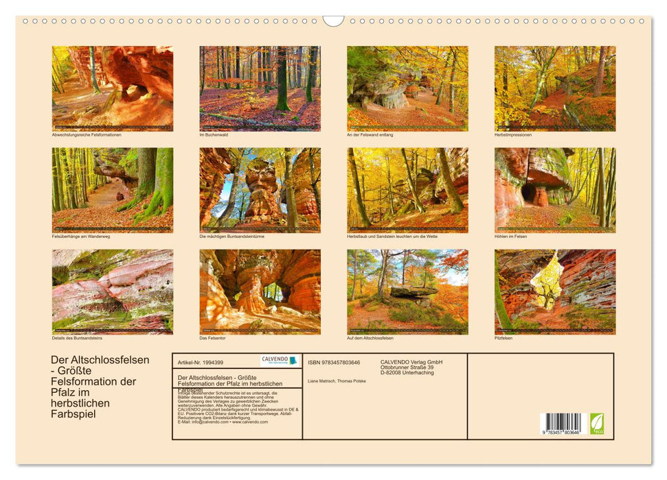 Der Altschlossfelsen - Größte Felsformation der Pfalz im herbstlichen Farbspiel (CALVENDO Wandkalender 2026)