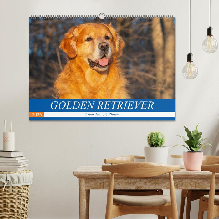 Golden Retriever - Freunde auf 4 Pfoten (CALVENDO Wandkalender 2026)