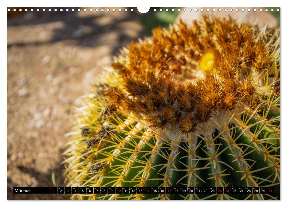 ALICANTE INSIDE - Monatskalender über die Stadt Alicante (CALVENDO Wandkalender 2026)