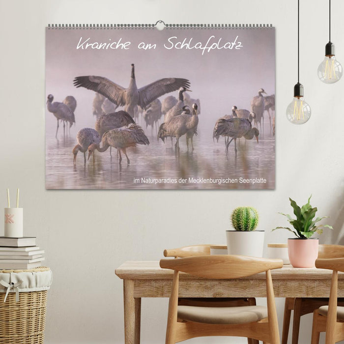 Kraniche am Schlafplatz - im Naturparadies der Mecklenburgischen Seenplatte (CALVENDO Wandkalender 2026)