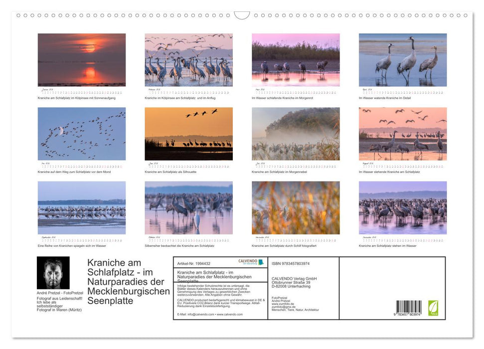Kraniche am Schlafplatz - im Naturparadies der Mecklenburgischen Seenplatte (CALVENDO Wandkalender 2026)
