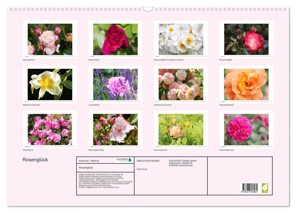 Rosenglück (CALVENDO Wandkalender 2026)
