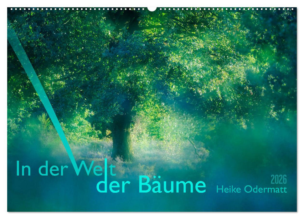 In der Welt der Bäume (CALVENDO Wandkalender 2026)