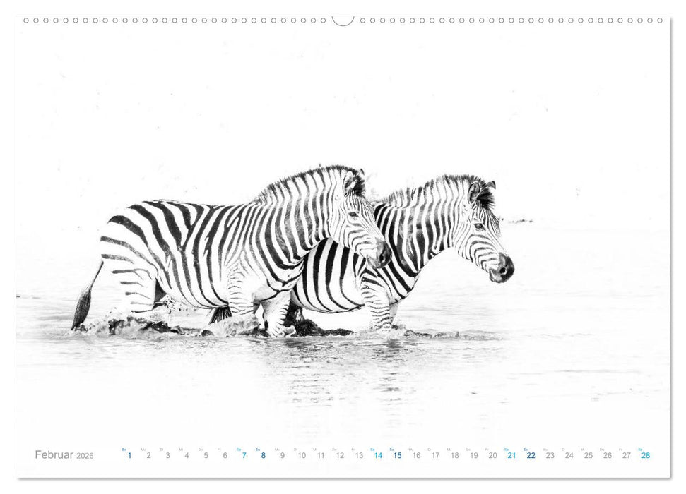 AFRIKA - Schwarz-weiss Fotografien im modernen "High Key" Look (CALVENDO Wandkalender 2026)