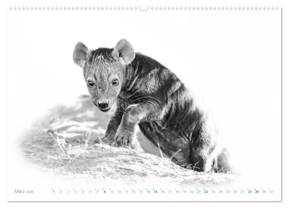 AFRIKA - Schwarz-weiss Fotografien im modernen "High Key" Look (CALVENDO Wandkalender 2026)